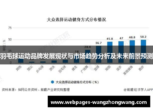 羽毛球运动品牌发展现状与市场趋势分析及未来前景预测