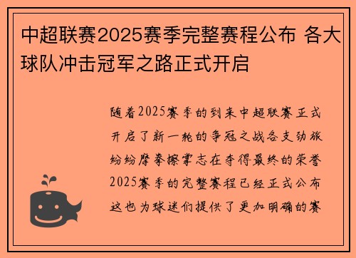 中超联赛2025赛季完整赛程公布 各大球队冲击冠军之路正式开启
